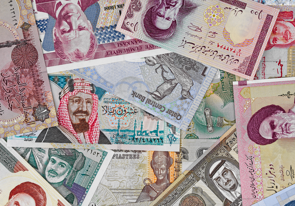 Middle-East-Money-2021-Survey